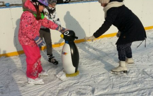 wszyscy chcą opiekować się pingwinkiem