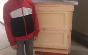 Wystawa pszczelarstwa