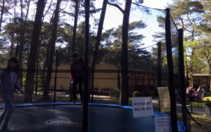 Zabawy na trampolinie